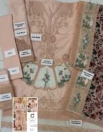 ELAAF Bridal Organza Ready-to-Wear Suit – Premium Handworked Design - Image 4